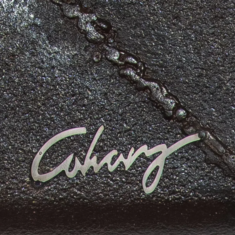 rob dobro 1